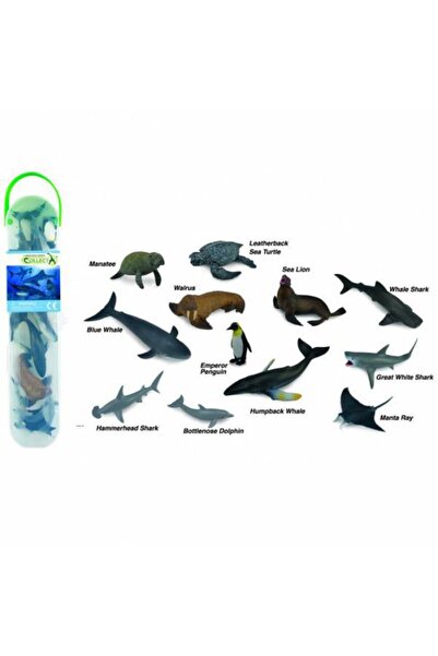 PlayFun Set Animale Marine 12 Bucăți cu Cutie Proiector