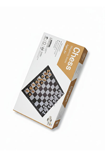 Generic Magnetic Chess Game