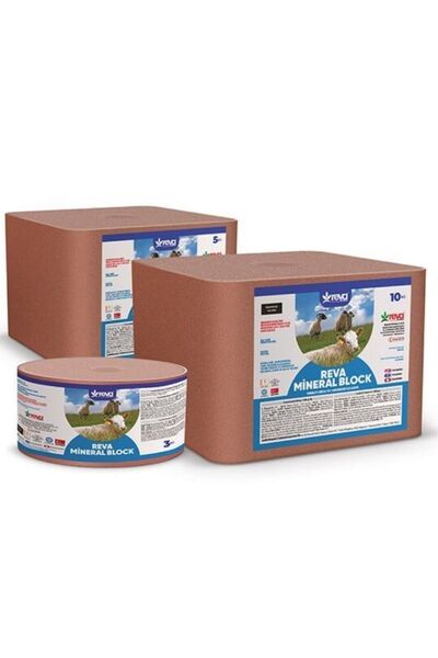 REVA Mineral Blok 3 KG Yalama Taşı