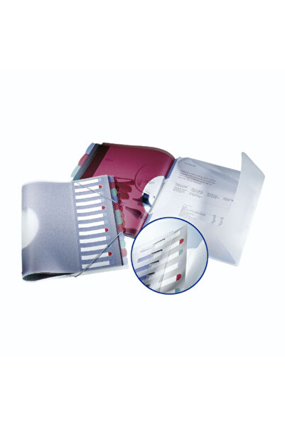 Esselte ملف مينيرال 49058 بحلقات مطاطية مقاس A4 مع 12 قسمًا