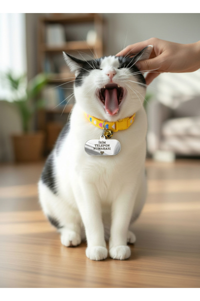 GAGGA GIFT Kişiye Özel Oval Figürlü Pleksi Kedi & Köpek Künyesi – İsim ve Num...