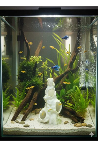 etkrtl -Akvaryum Mağara Dekoru Balık Saklanma Alanı 14x8 cm Beyaz