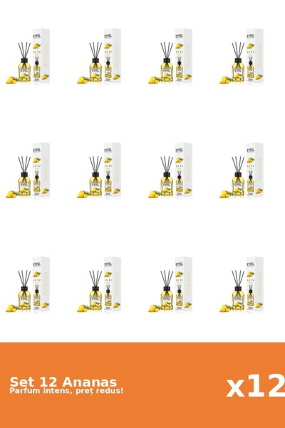 Eyfel Set 12 Odorizant Ananas, 120 ml