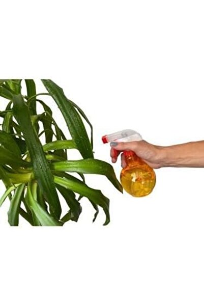 Hanedanev 1 Adet Çiçek Sulama Sprey 250 ML Berber Sprey 250 ML Boş Sprey Şişesi Püskürtmeli Tombik Şişe