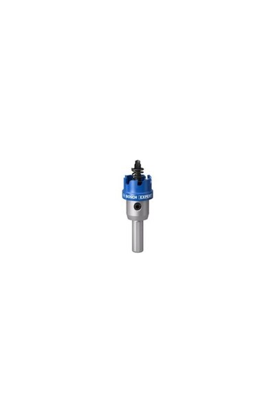 Bosch Expert 25 mm Elmaslı Inox Panç Adaptörlü 2608901408