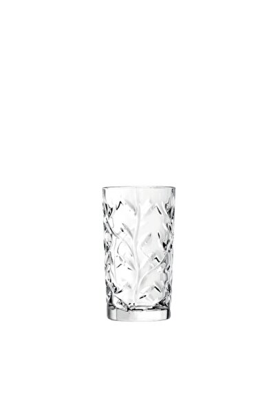 RCR Crystal Set of 6 Tall Water Glasses Rcr Crystal, Laurus