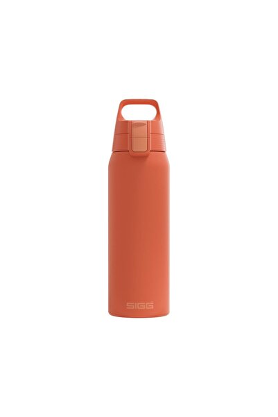 SIGG 6021.20 Therm One 0.75L Thermos, Cinnamon