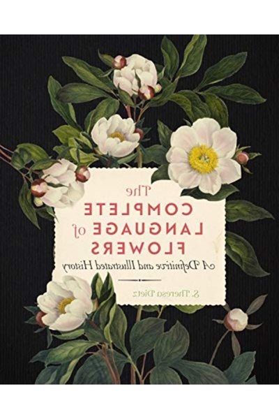 markentegra Full Language of Flowers a Definitive and Illustrated History