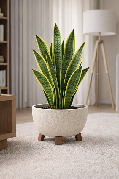 Binbirreyon Ayaklı Beton Görünümlü Plastik Saksı Çap:30cm 6,3Lt AH153