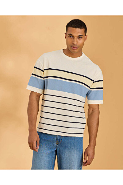 REDTAG Men Multicolour Striped Jacquard T-Shirt