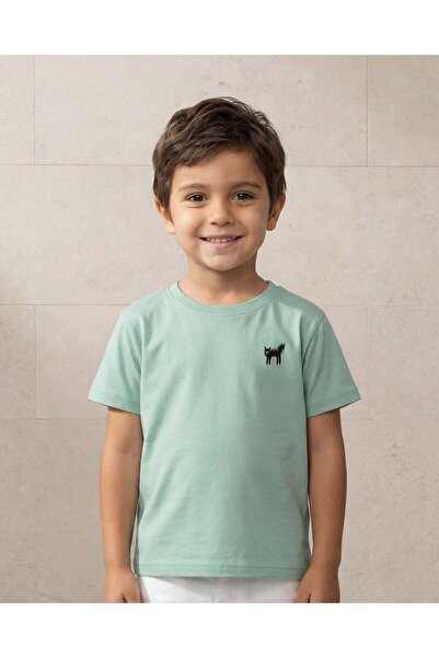 REDTAG تي شيرت أخضر سادة للأولاد