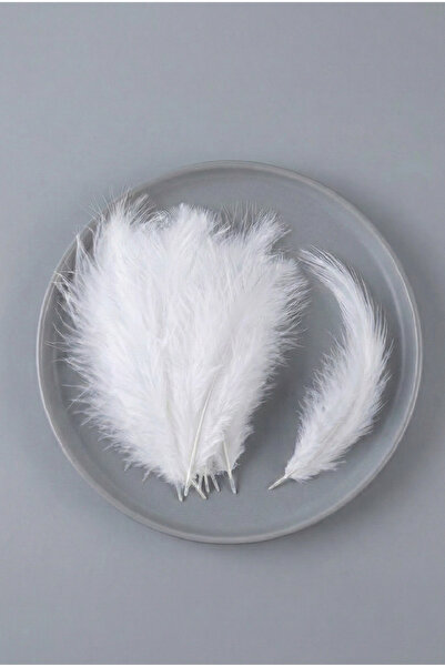 Massaltay Pene albe, pachet de 100 de pene artificiale colorate pentru decora...