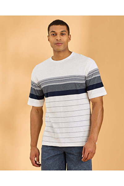 REDTAG Men Multicolour Striped Jacquard T-Shirt