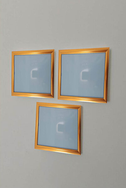 LunaRe Home Art&Design Şık Tasarımlı Gold Üçlü Set Polimer Resim Çerçevesi (2...