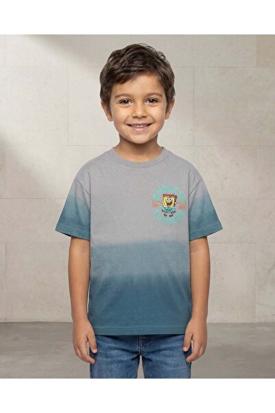 REDTAG تي شيرت رمادي مطبوع للأولاد