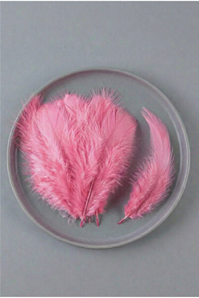 Massaltay ريش طيور وردي، عبوة من 100 قطعة، ريش زخرفي صناعي ملون للهوايات والأ...