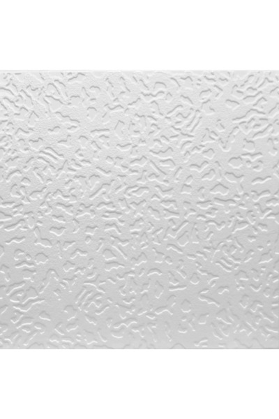 regata Placă decorativă pentru tavan fals 0831 Alb 500x500 mm