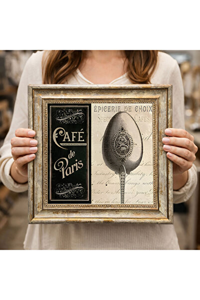 woodsia Decorative Framed Square Painting Dc0217