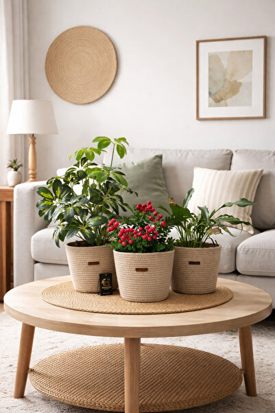 bayram taşcıoğlu home desing 3 Pieces of Organizing Basket Flower Pot Flower ...