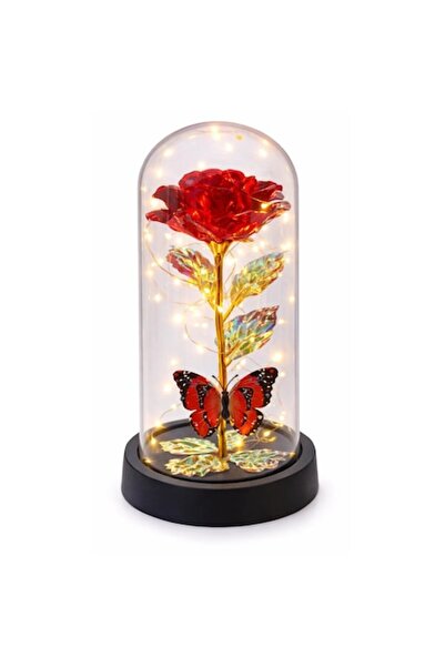 OEM Decorative Dome with Artificial Flower LED and Butterfly