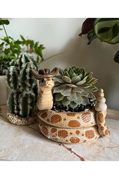 Bi'şeyler Concept El Yapımı Seramik Kovboy Yılan Figürlü Dekoratif Sukulent v...