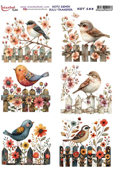 İstanbul Hobi Dark Background Water Transfer Paper 25X35Cm Kst-188 Birds