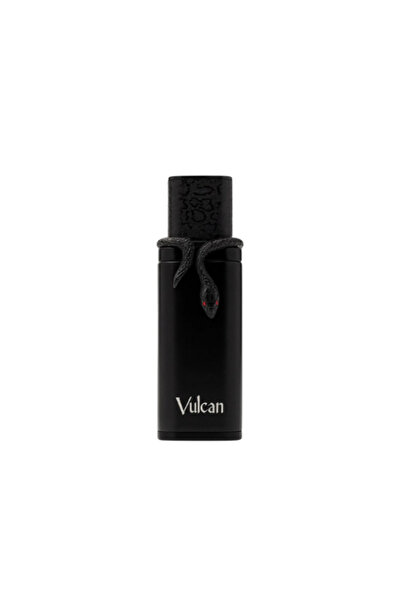 Fashfed French Avenue Vulcan Black Friday Eau de Parfum 100ml