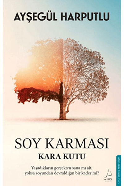 Destek Yayınları Soy Karması: Kara Kutu / Ayşegül Harputlu / / 9786258594225
