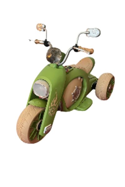 Rally Electric bike for kids