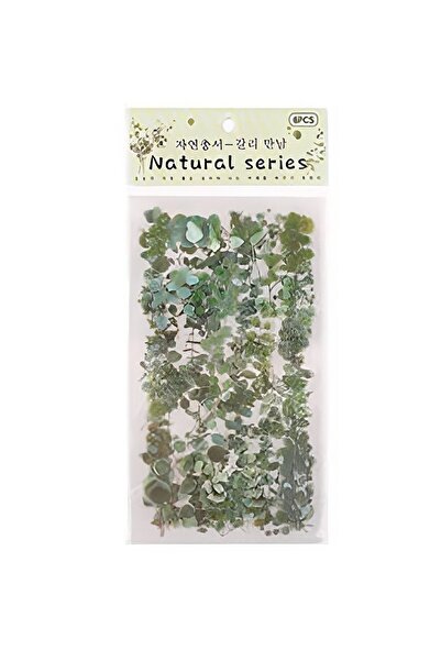 ENVY Scrapbooking Ajanda Günlük Journal Süsleme Doğal Bitki Görünümlü Sticker Etiket Seti Sarmaşık