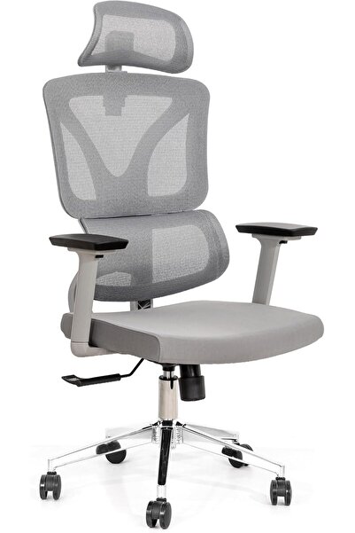 Afifa Furniture Grey Office Chair – Ergonomic Chair with High Back Mesh, Lumb...