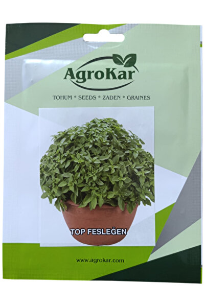 Top Fesleğen Tohumu 1 gr
