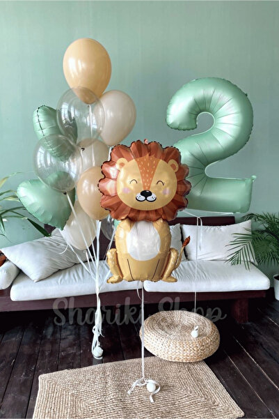 Bunloon Retro Color 2 Year Old Lion Themed 10 Piece Balloon Set