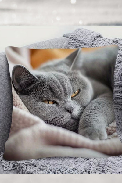 OEM Set of 2 cat pillowcases 40 cm x 40 cm.