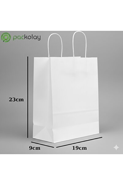 PACKOLAY White Kraft Cardboard Bag 19X9X23 cm Boutique Bag with Twist Handle ...