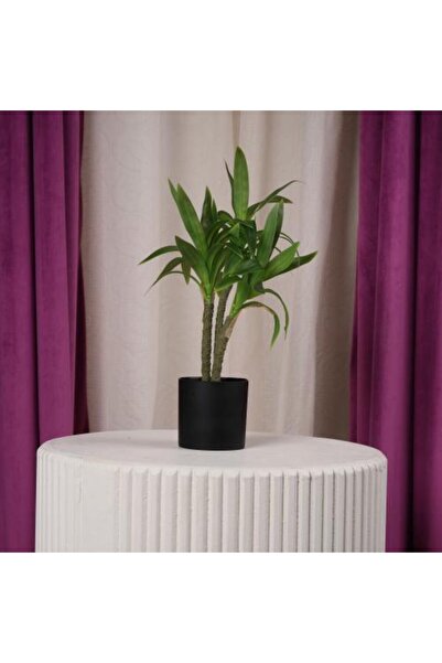 Gifts World Small Artificial Green Decoration Tree