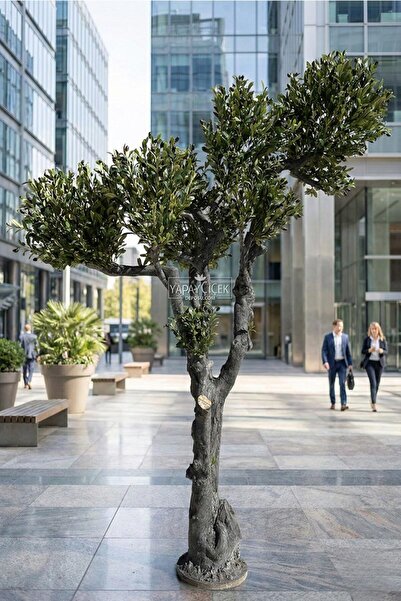 Yapay Çiçek Deposu Yapay Ağaç Prestige Zeytin Ağacı 240 cm