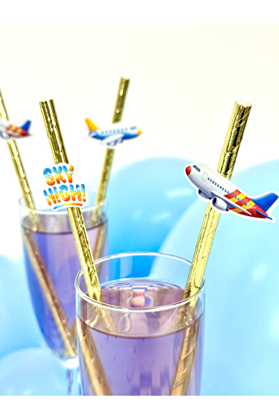 Flu Party Uçak ve Pilot Temalı Pipetler – Airplane Konsept Parti Pipeti