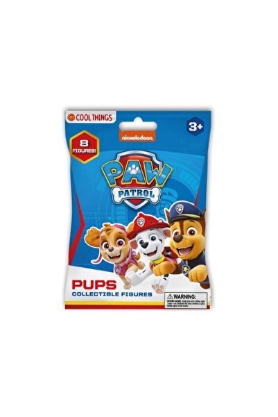Sunman Cool Things Paw Patrol Figure Surprise Package