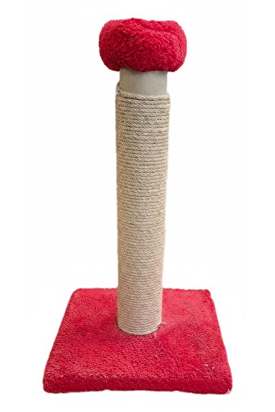 KEDİ TIRMALAMA OYUNU