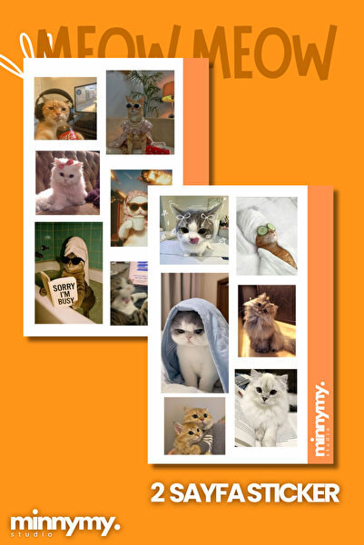 Minnymy 2'li Komik Kedi, Kediler, Funny Sticker, Çıkartma, Ajanda, Günlük, Pl...