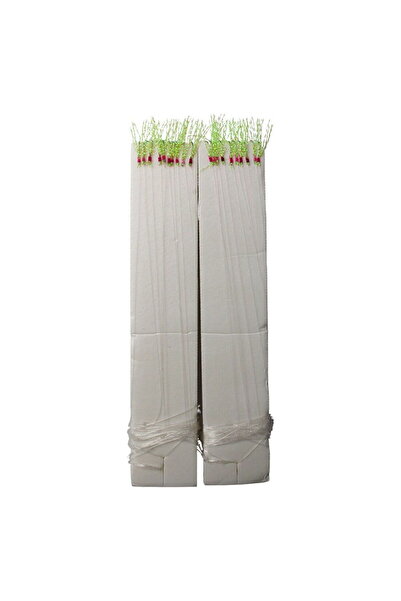 SEA HORSE İstavrit Çaparisi 10 İğneli 2 Li Pkt