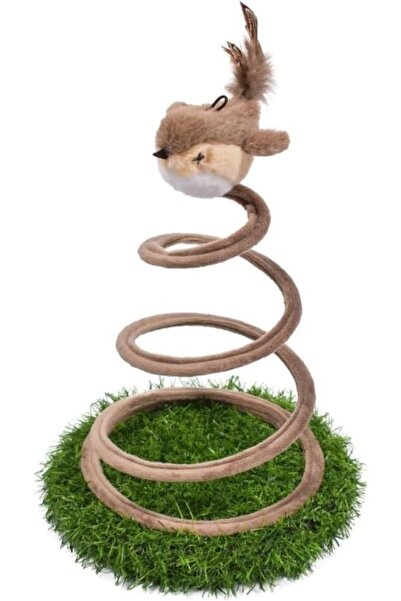 Genaric Tabala Cat Toy with Bird Sounds