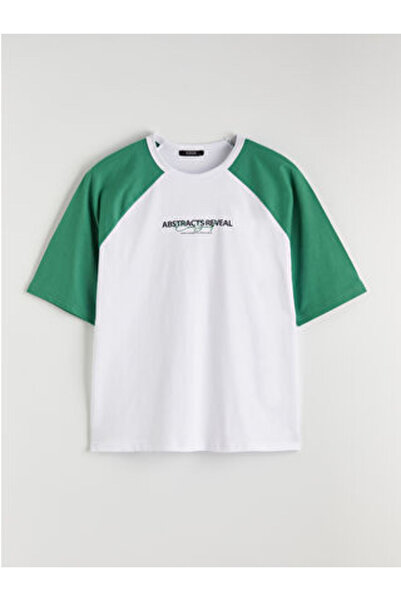 LC Waikiki White Crew Neck Color Block Men's T-Shirt