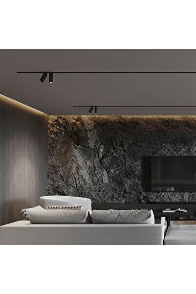 Braytron Magnet 10W Manyetik Ray Spot -4000K - 48V DC - 810 Lümen