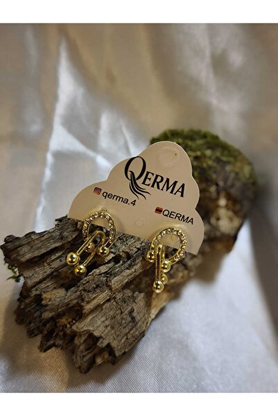 QERMA Steel Earrings