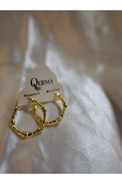 QERMA Steel Earrings