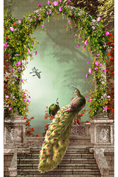 Arterior Wallpaper Merdivende tavus kuşu poster duvar kağıdı