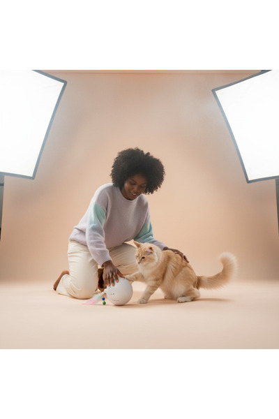 Lady Fify Rolling Ball Led Interactive Play Ball for Cat and Dog