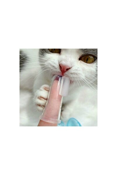 Romingo Cat Dog Tooth Cleaning Brush